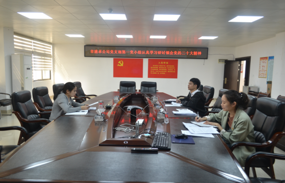 1681436622344313.png 崇左市建卓公司第一党小组专题学习研讨党的二十大精神和党章.png