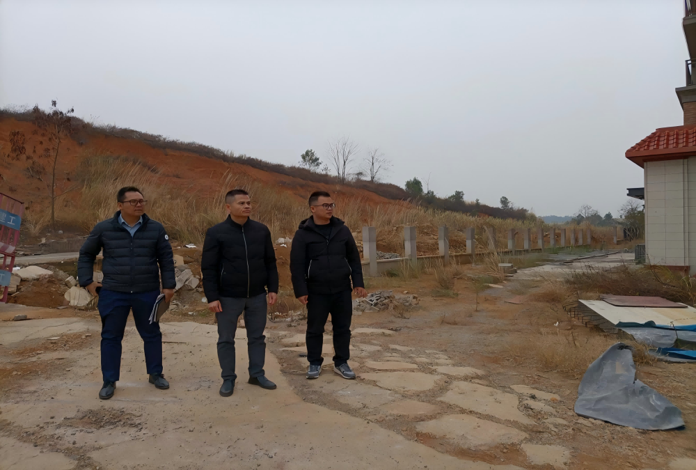 1739495823195197.png 图片1(1).png